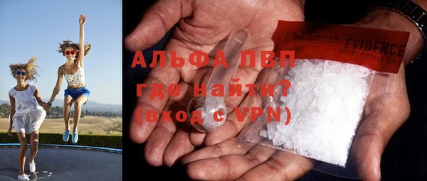 спайс Арсеньев
