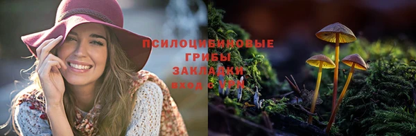 спайс Арсеньев