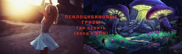 спайс Арсеньев