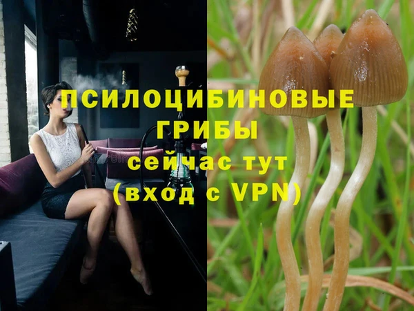соль ск Алексеевка